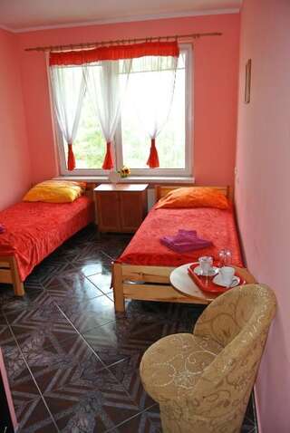 Отели типа «постель и завтрак» Willa Kazimierz Цехоцинек Небольшой двухместный номер с 2 отдельными кроватями-3
